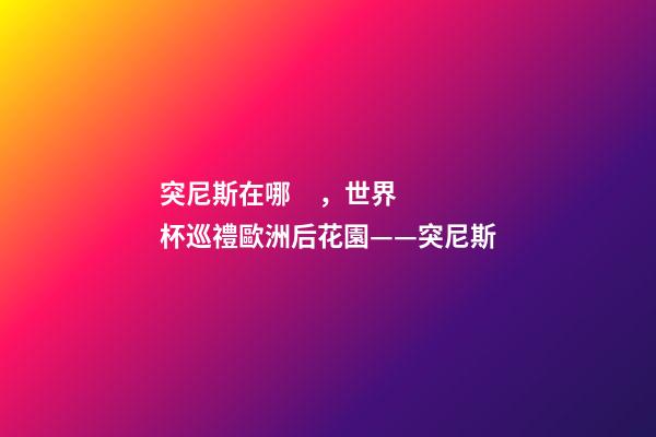 突尼斯在哪，世界杯巡禮歐洲后花園——突尼斯-第1張-觀點(diǎn)-玄機(jī)派